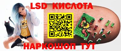 амф Заволжье