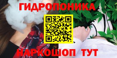 амф Заволжье