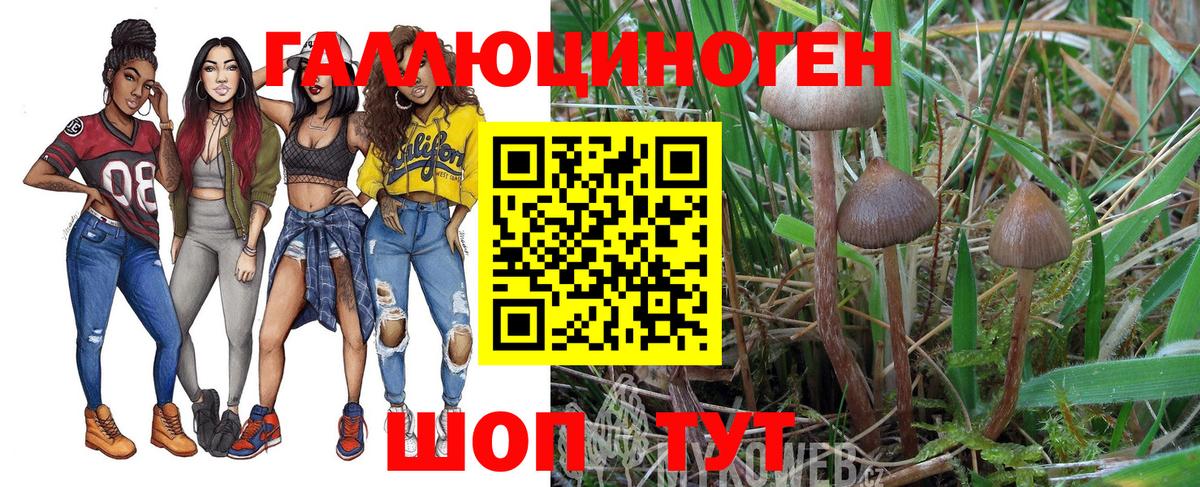 Галлюциногенные грибы прущие грибы Шелехов
