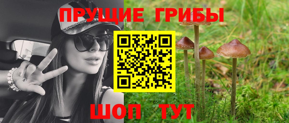 Галлюциногенные грибы Magic Shrooms  Вход с VPN  Шелехов 